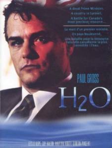 H2O () 2004 (1 )